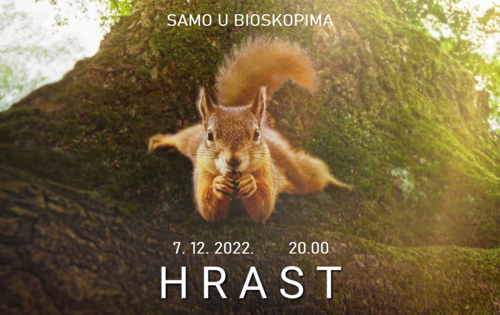 hrast