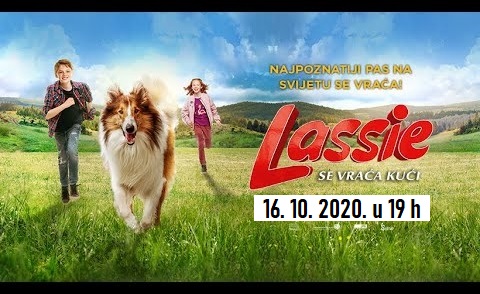 lesi 2020 plakat