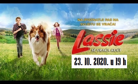 lesi 2020 plakatn